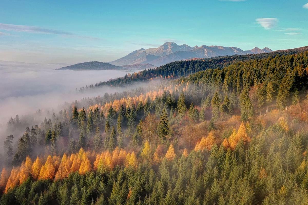 Penzion Pod Magurou Slovenská Ves Exteriér fotografie
